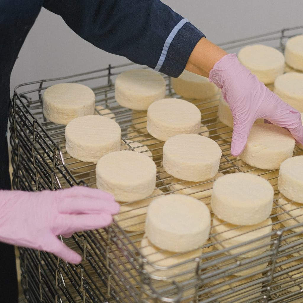 Merely illustrative image of fresh minas cheese. Photo: Anna Shvets.